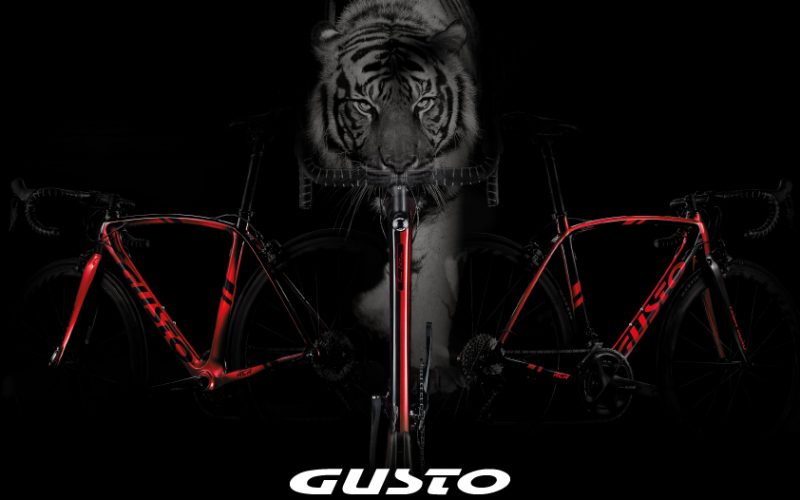 RCR-Duro-image RCR-Duro-image